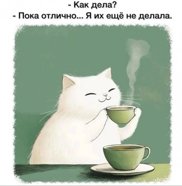 - Как дела?
- Пока отлично... Я их ещё не делала.
