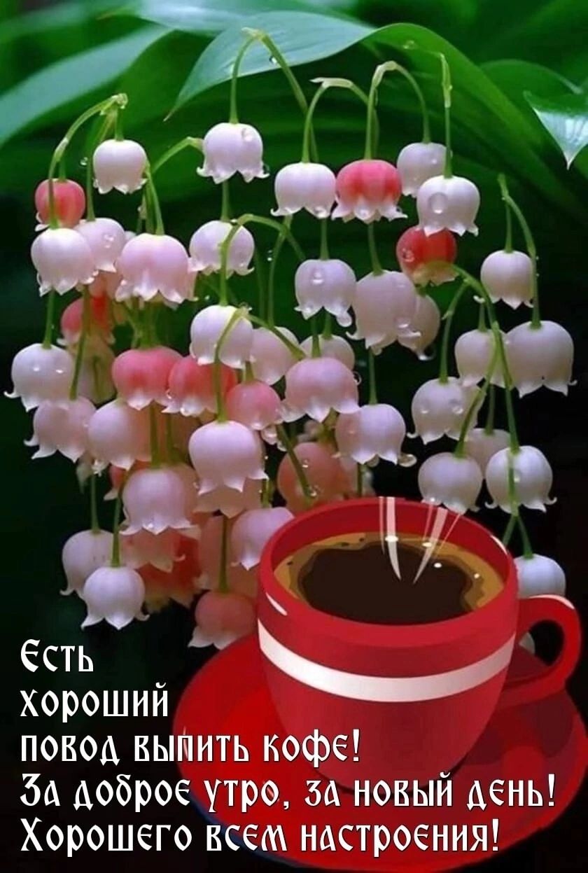 Есть хороший повод выпить кофе! За доброе утро, за новый день! Хорошего всем настроения!