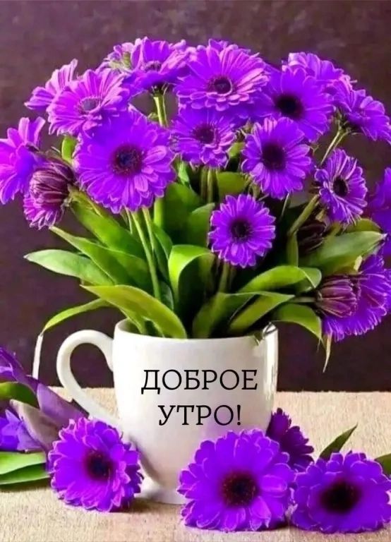 ДОБРОЕ УТРО!