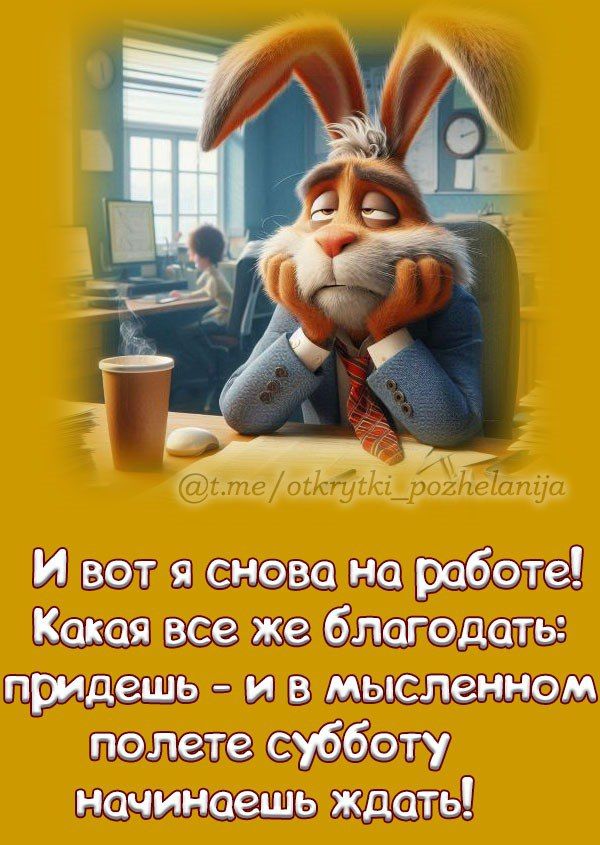 И вот я снова на работе! Какая все же благодать: придёшь - и в мысленном полете субботу начинаешь ждать!
