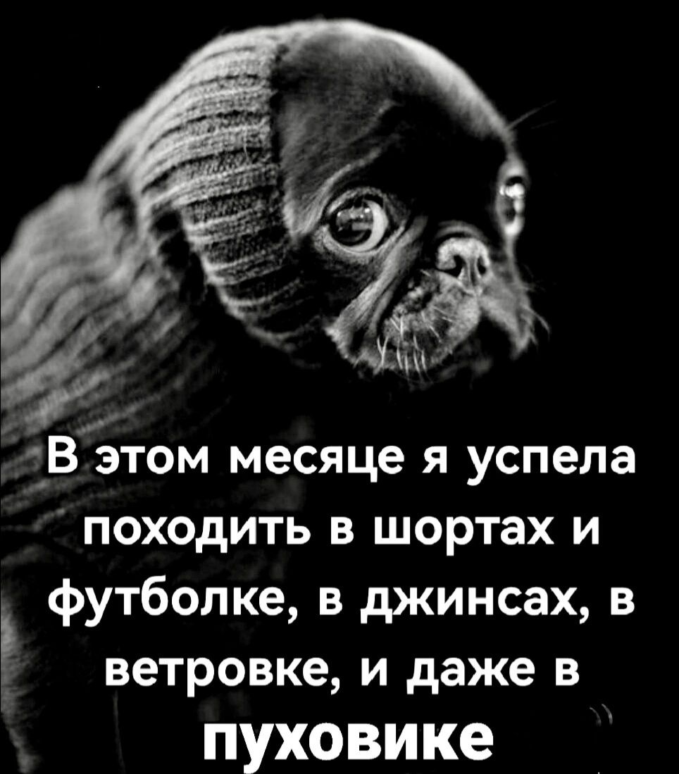 В этом месяце я успела походить в шортах и футболке, в джинсах, в ветровке, и даже в пуховике