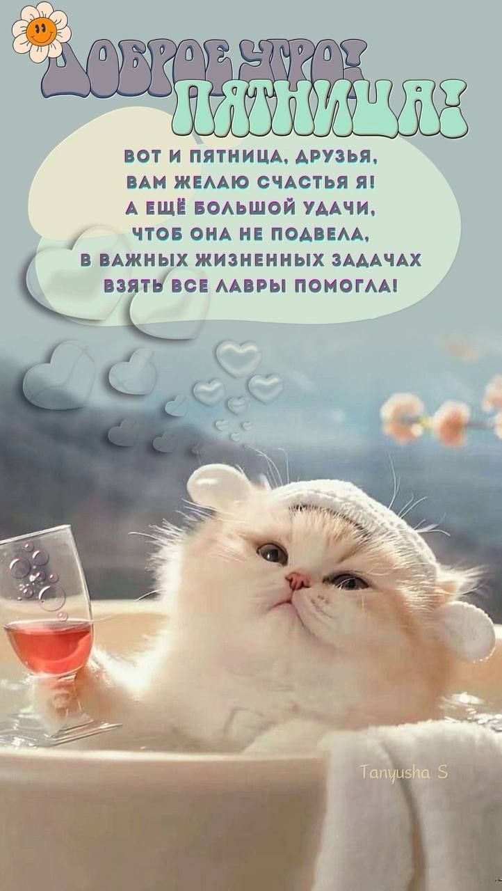 ДОБРОЕ УТРО, ПЯТНИЦА! ВОТ И ПЯТНИЦА, ДРУЗЬЯ, ВАМ ЖЕЛАЮ СЧАСТЬЯ Я! И ЕЩЁ БОЛЬШОЙ УДАЧИ, ЧТОБ ОНА НЕ ПОДВЕЛА, В ВАЖНЫХ ЖИЗНЕННЫХ ЗАДАЧАХ ВЗЯТЬ ВСЕ ЛАВРЫ ПОМОГЛА!