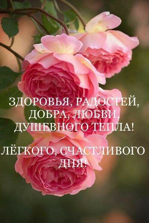ЗДОРОВЬЯ, РАДОСТЕЙ, ДОБРА, ЛЮБВИ, ДУШЕВНОГО ТЕПЛА! ЛЁГКОГО, СЧАСТЛИВОГО ДНЯ.