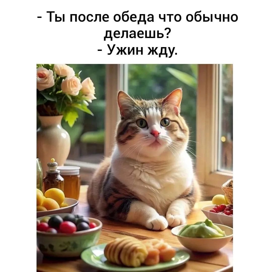 - Ты после обеда что обычно делаешь?  
- Ужин жду.