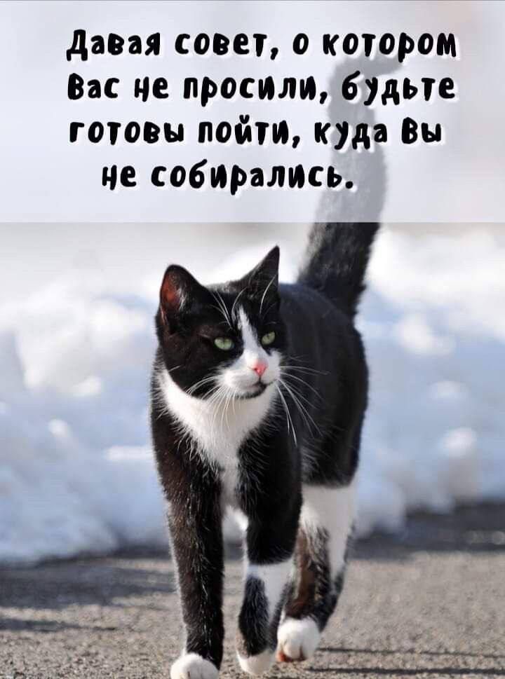 Давая совет, о котором вас не просили, будьте готовы пойти, куда вы не собирались.