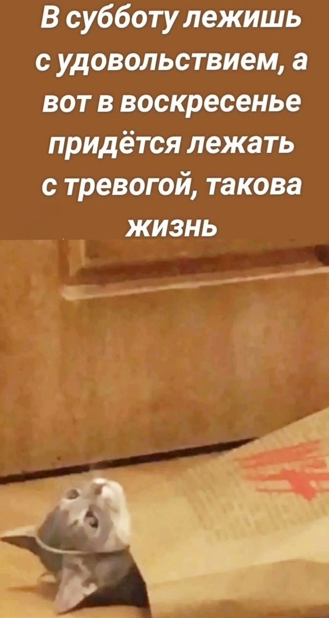 В субботу лежишь с удовольствием, а вот в воскресенье придётся лежать с тревогой, такова жизнь