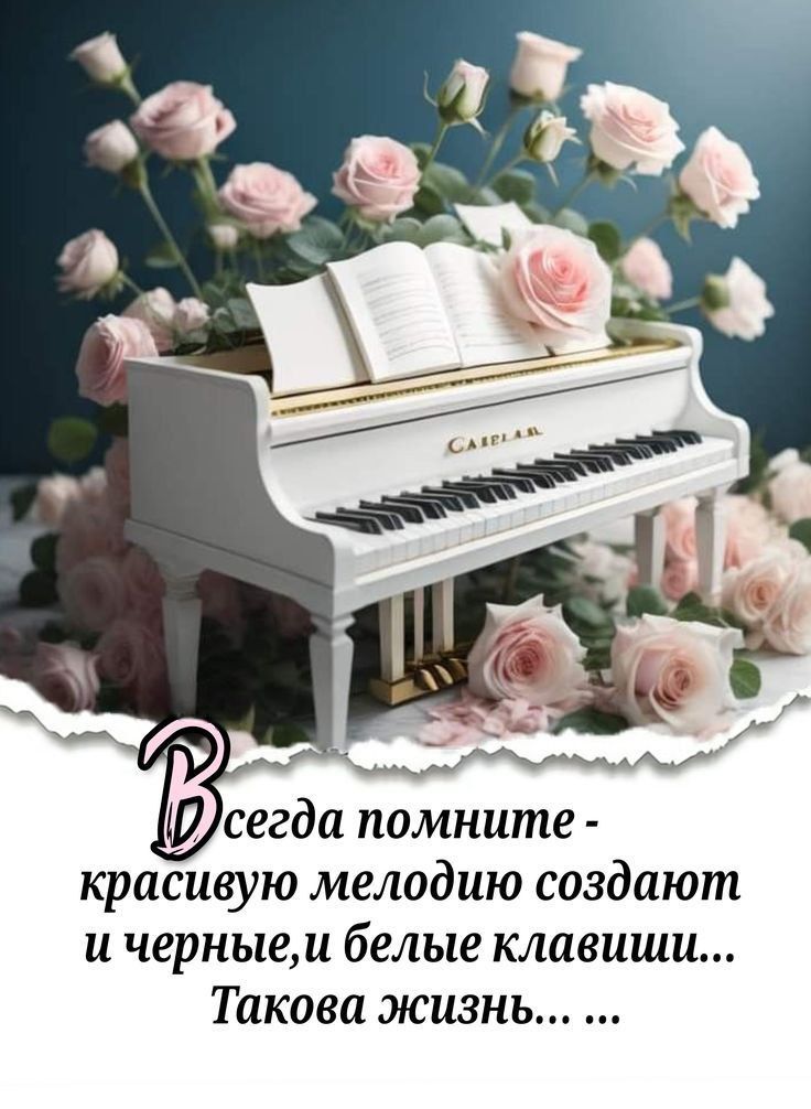 Всегда помните - красивую мелодию создают и черные, и белые клавиши... Такова жизнь...