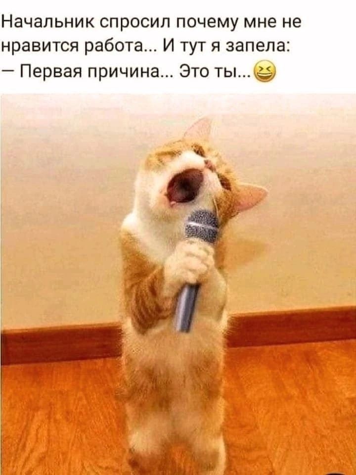 Начальник спросил почему мне не нравится работа... И тут я запела: — Первая причина... Это ты...😆
