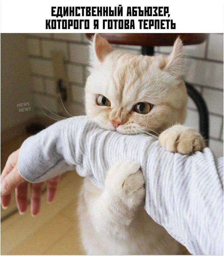 ЕДИНСТВЕННЫЙ АБЬЮЗЕР, КОТОРОГО Я ГОТОВА ТЕРПЕТЬ