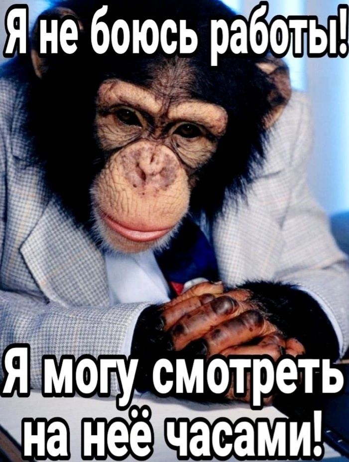 Я не боюсь работы! Я могу смотреть на неё часами!