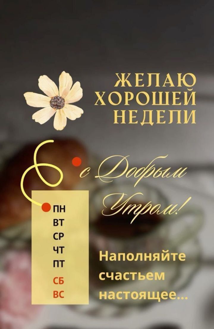 Желаю ХОРОШЕЙ НЕДЕЛИ
с Добрым Утром!
Наполняйте счастьем настоящее...