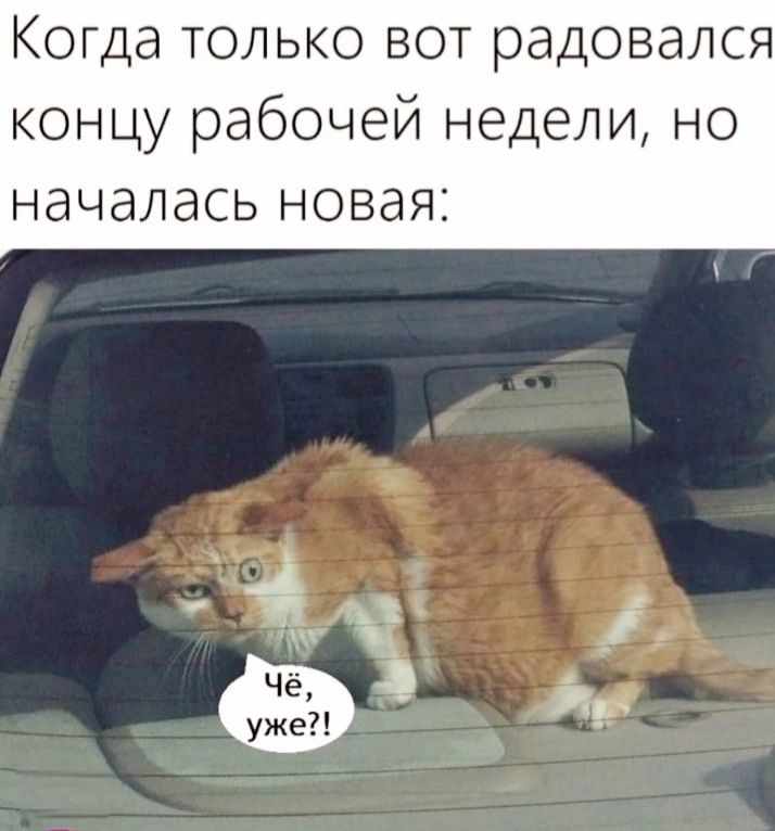 Когда только вот радовался концу рабочей недели, но началась новая:
Чё, уже?!