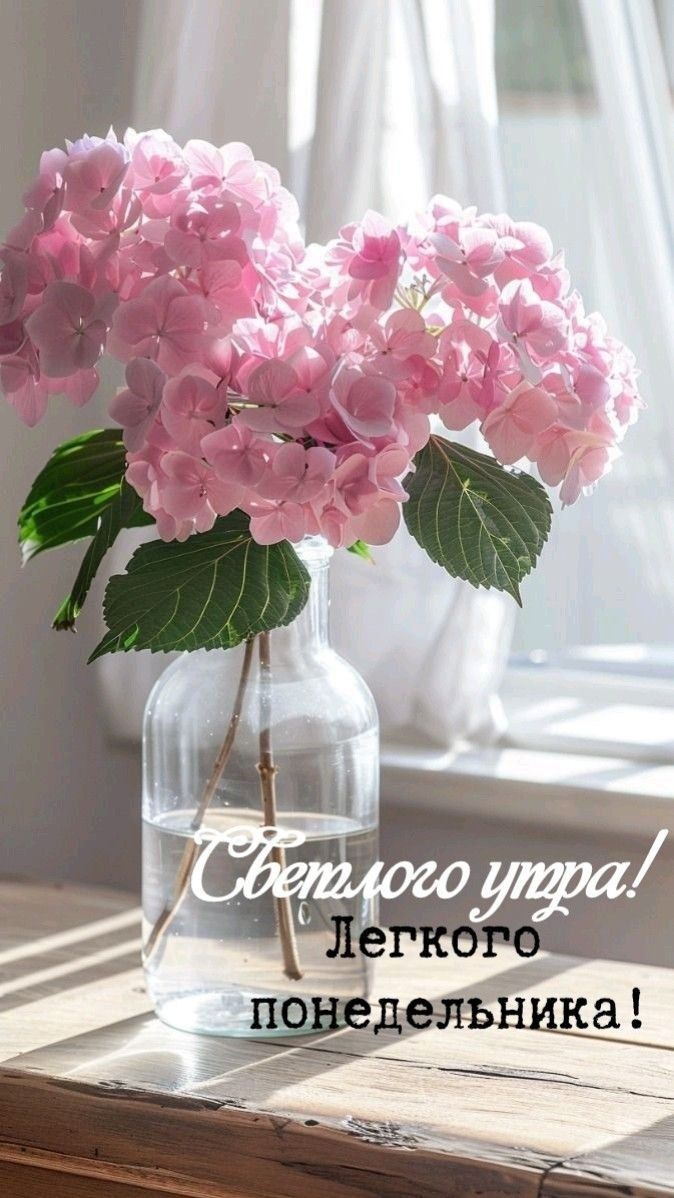 Светлого утра! Легкого понедельника!