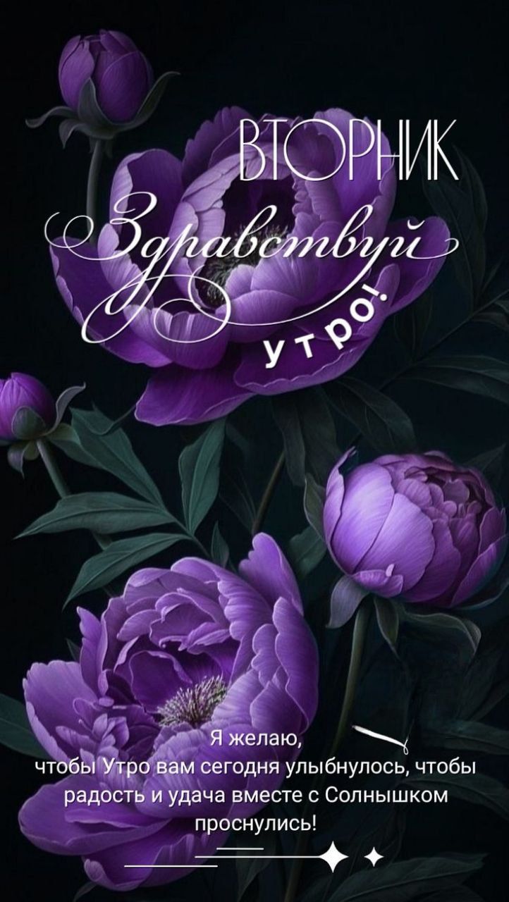 ВТОРНИК
Здравствуйте!
Я желаю, чтобы Утро вам сегодня улыбнулось, чтобы радость и удача вместе с Солнешком проснулись!