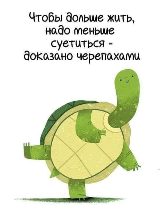 Чтобы дольше жить, надо меньше суетиться - доказано черепахами