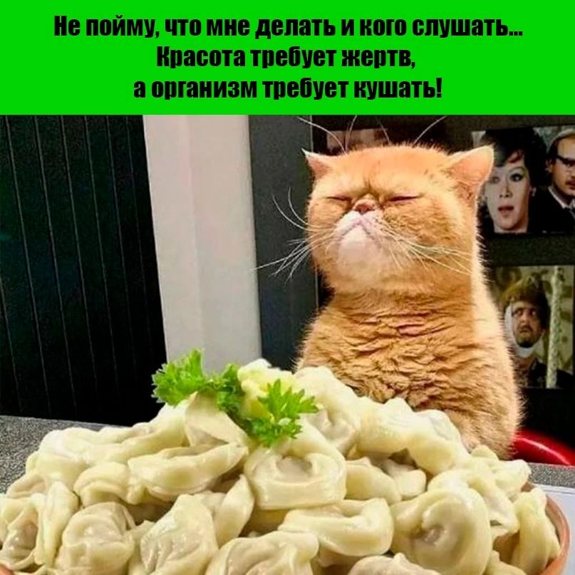 Не пойму, что мне делать и кого слушать... Красота требует жертв, а организм требует кушать!