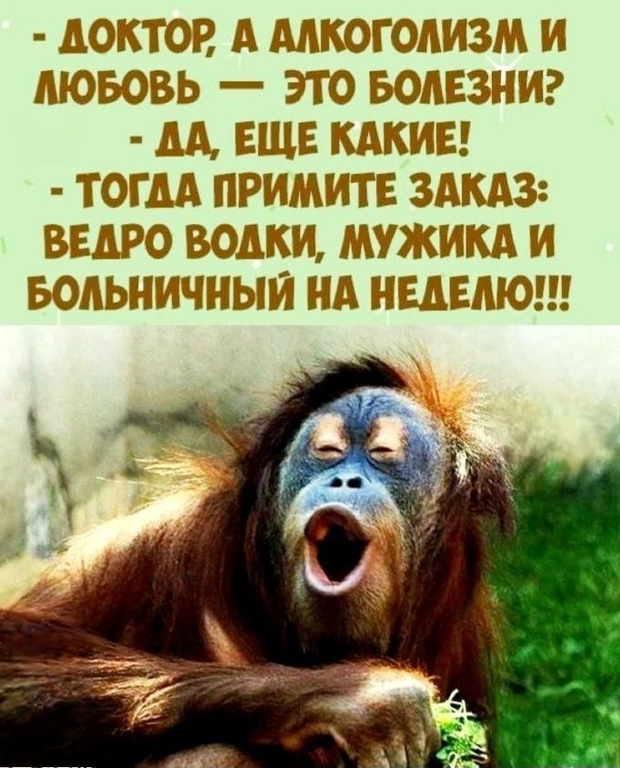 - ДОКТОР, А АЛКОГОЛИЗМ И ЛЮБОВЬ — ЭТО БОЛЕЗНИ?
- ДА, ЕЩЕ КАКИЕ!
- ТОГДА ПРИМИТЕ ЗАКАЗ: ВЕДРО ВОДКИ, МУЖИКА И БОЛЬНИЧНЫЙ НА НЕДЕЛЮ!!!