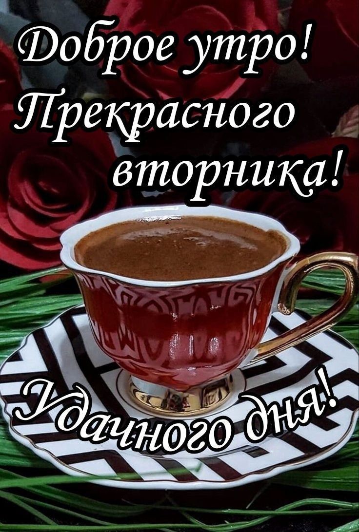 Доброе утро! Прекрасного вторника! Удачного дня!
