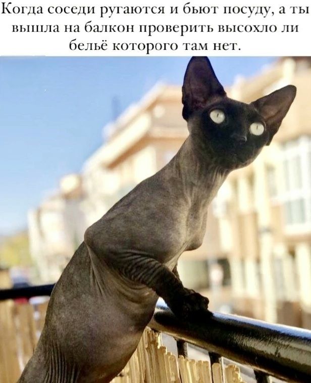 Когда соседи ругаются и бьют посуду, а ты вышла на балкон проверить высохло ли бельё которого там нет.