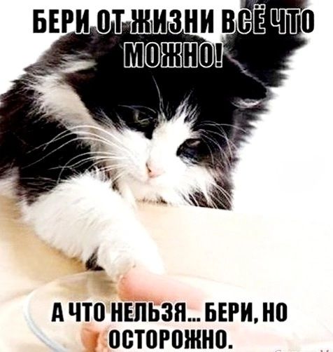 БЕРИ ОТ ЖИЗНИ ВСЁ ЧТО МОЖНО! А ЧТО НЕЛЬЗЯ... БЕРИ, НО ОСТОРОЖНО.