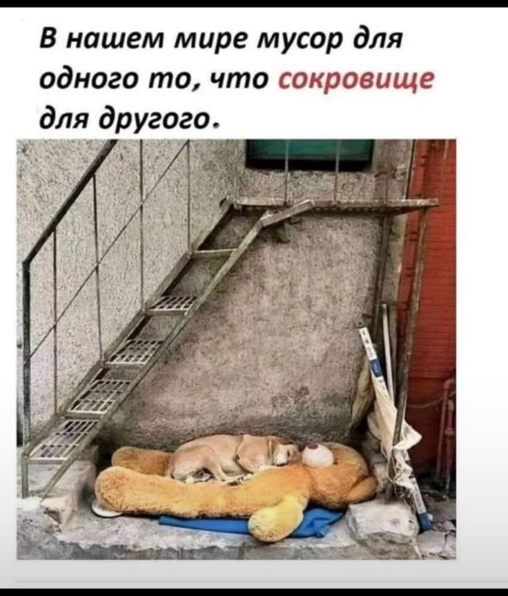 В нашем мире мусор для одного то, что сокровище для другого.