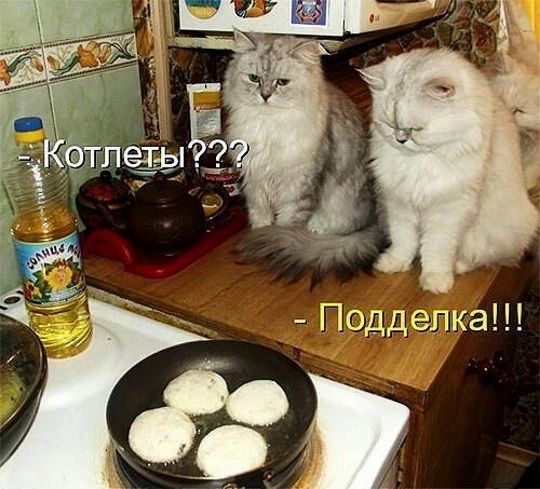 - Котлеты???
- Подделка!!!