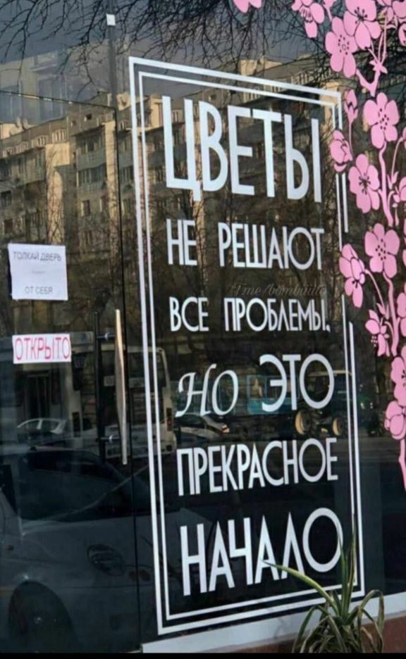 ЦВЕТЫ НЕ РЕШАЮТ ВСЕ ПРОБЛЕМЫ, НО ЭТО ПРЕКРАСНОЕ НАЧАЛО