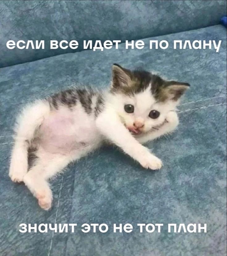 если все идет не по плану значит это не тот план