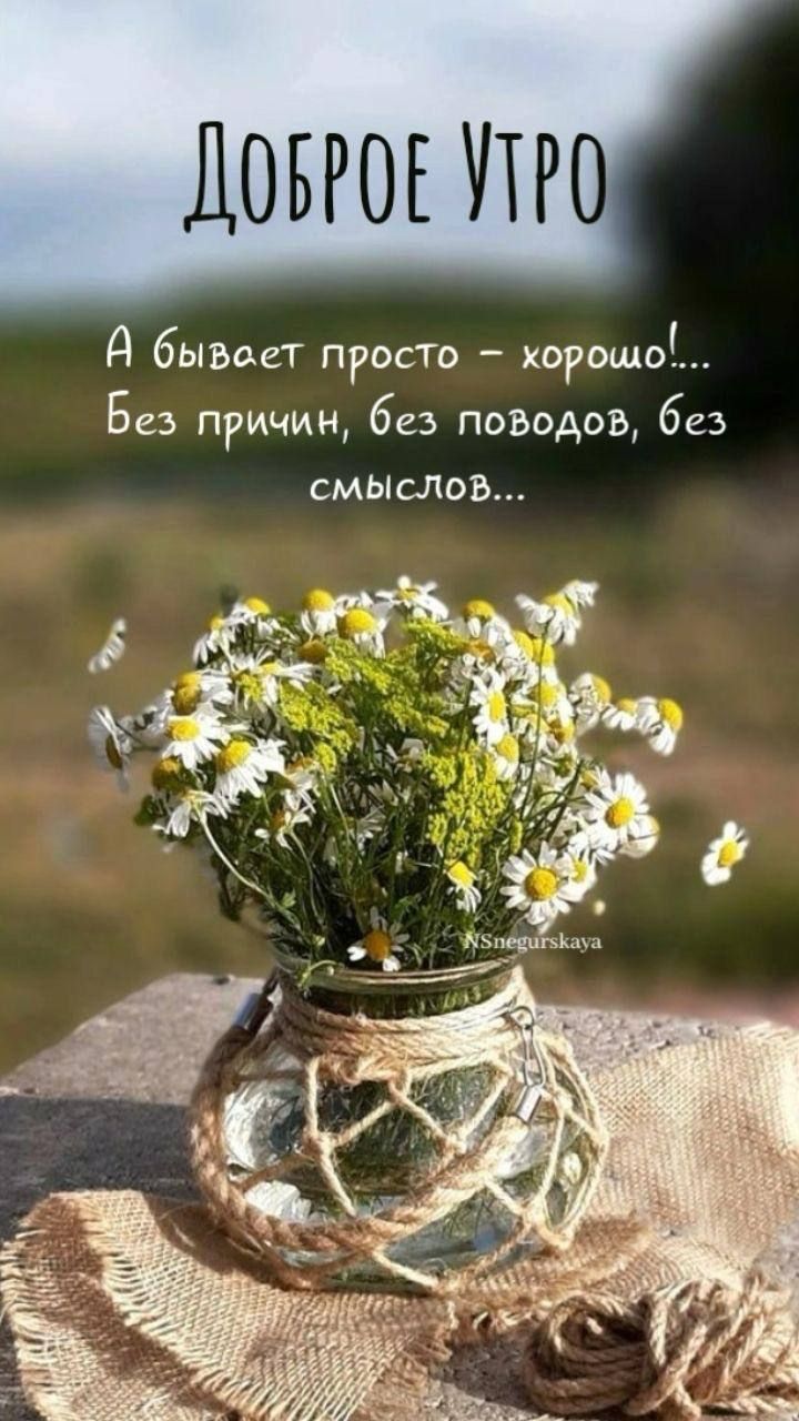 Доброе Утро
А бывает просто – хорошо!... Без причин, без поводов, без смыслов...