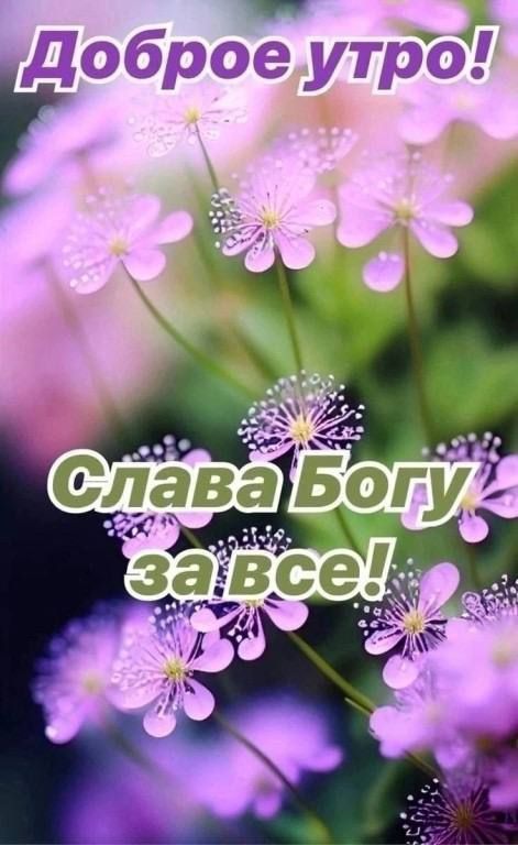 Доброе утро! Слава Богу за все!