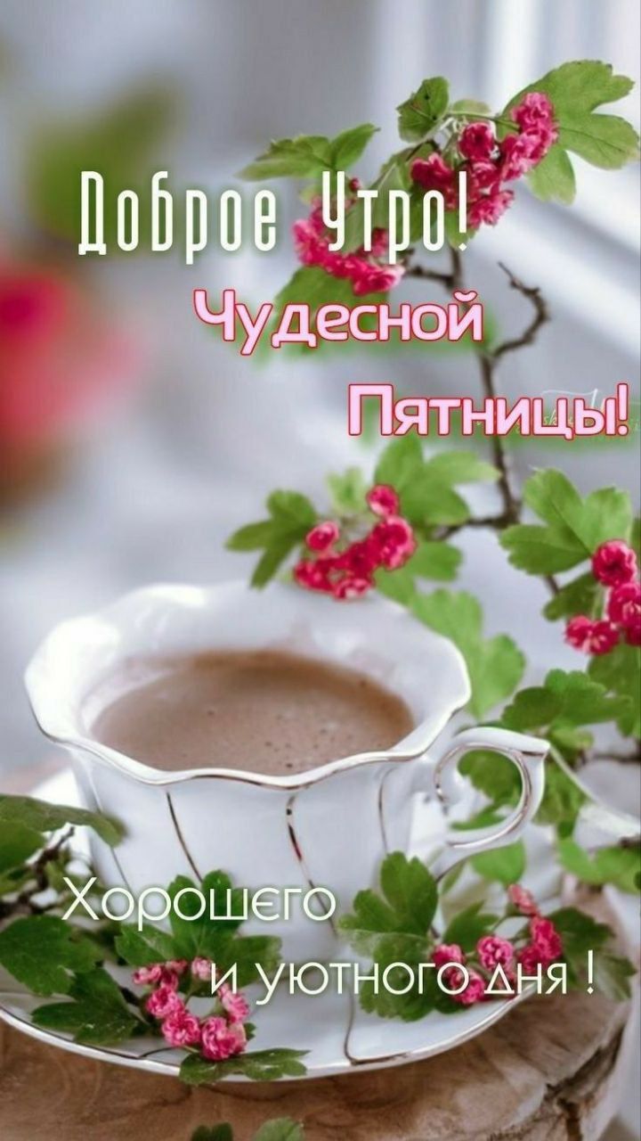 Доброе Утро! Чудесной Пятницы! Хорошего и уютного дня!