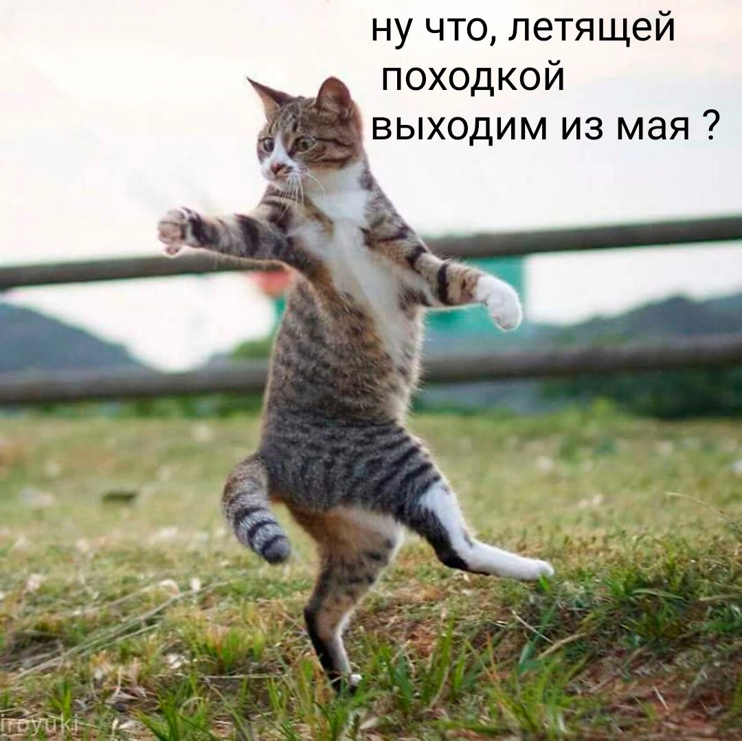 ну что, летящей походкой выходим из мая ?