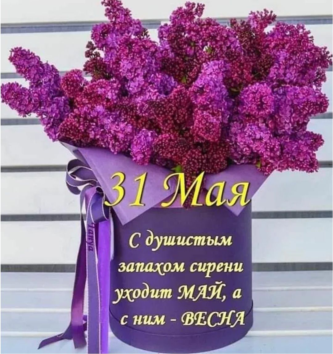31 Мая
С душистым запахом сирени уходит МАЙ, а с ним - ВЕСНА