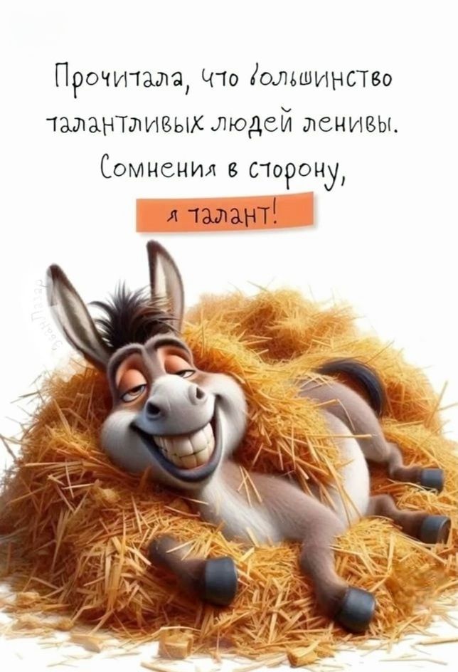 Прочитала, что большинство талантливых людей ленивы. Сомнения в сторону, я талант!