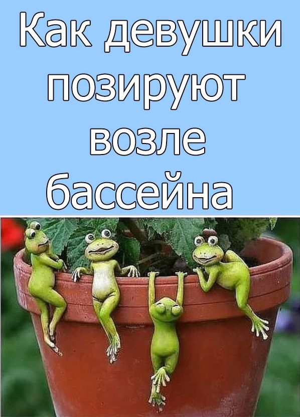 Как девушки позируют возле бассейна
