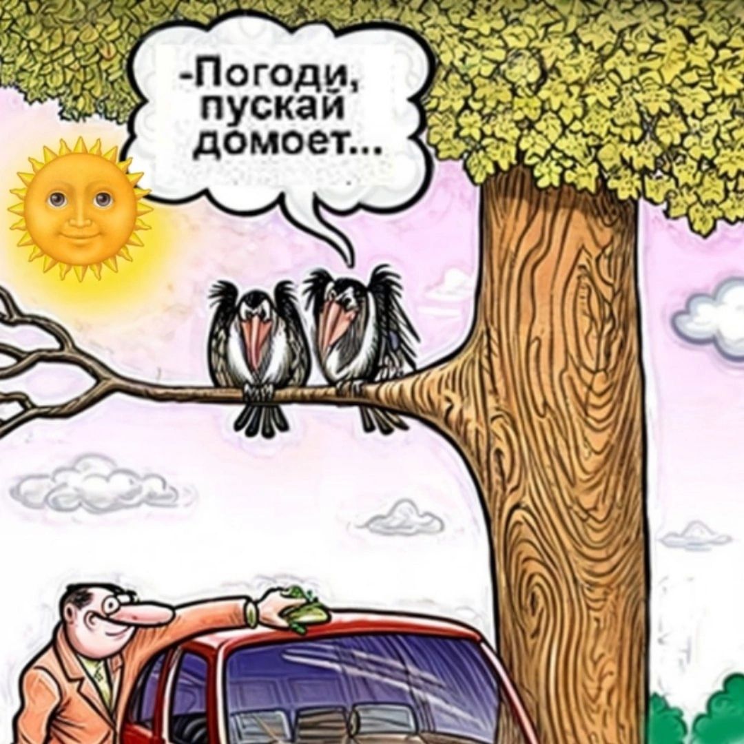 -Погоди, пускай домоет...