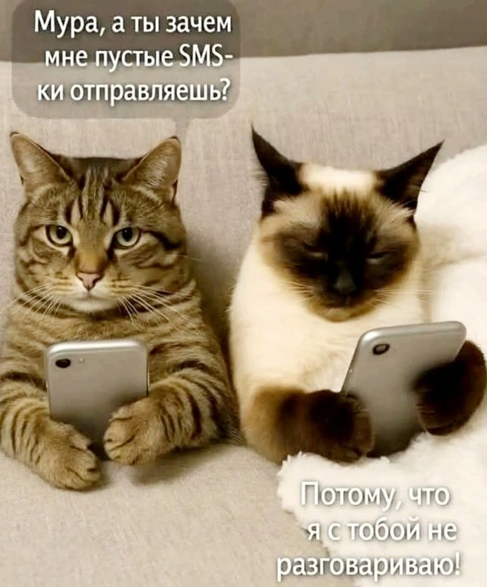 Мура, а ты зачем мне пустые SMS-ки отправляешь? Потому, что я с тобой не разговариваю!