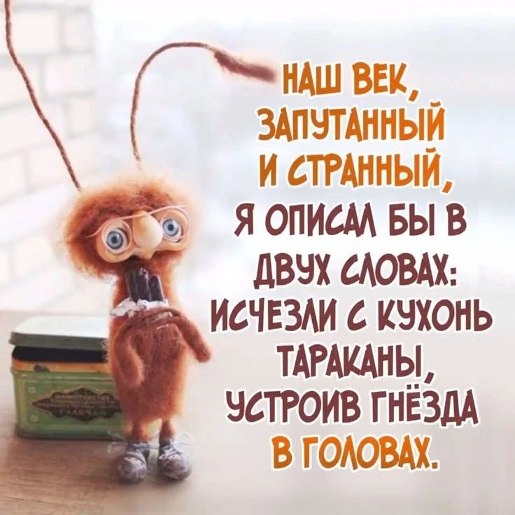 НАШ ВЕК, ЗАПУТАННЫЙ И СТРАННЫЙ, Я ОПИСАЛ БЫ В ДВУХ СЛОВАХ: ИСЧЕЗЛИ С КУХОНЬ ТАРАКАНЫ, УСТРОИЛ ГНЕЗДА В ГОЛОВАХ.