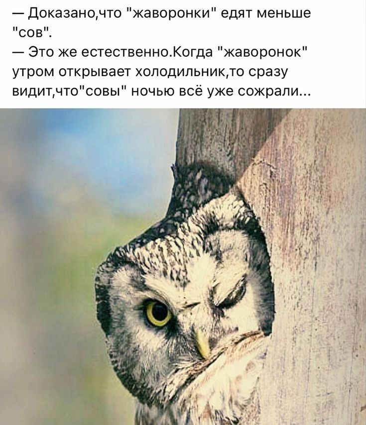 — Доказано, что 