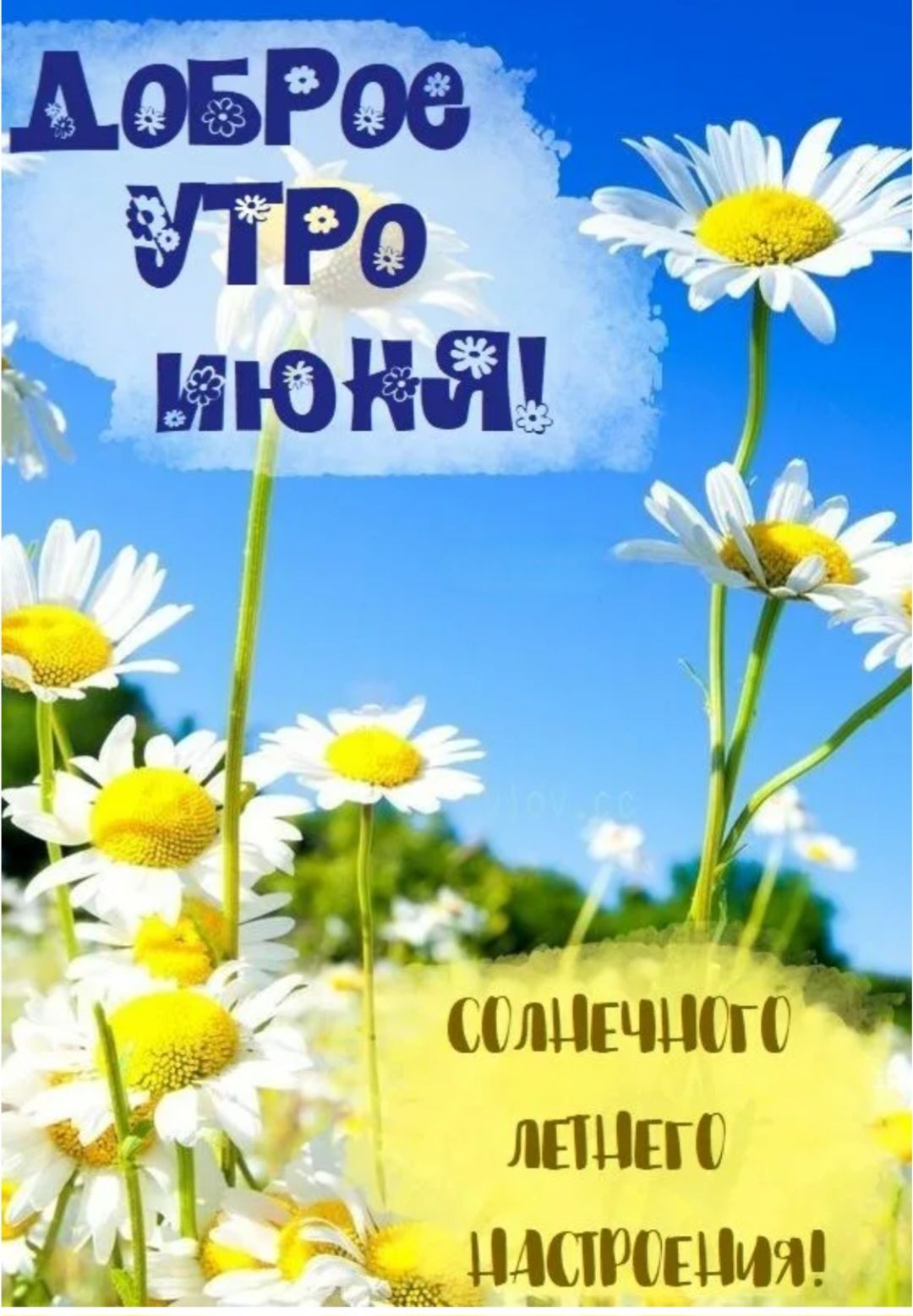 ДОБРОЕ УТРО ИЮНЯ! СОЛНЕЧНОГО ЛЕТНЕГО НАСТРОЕНИЯ!