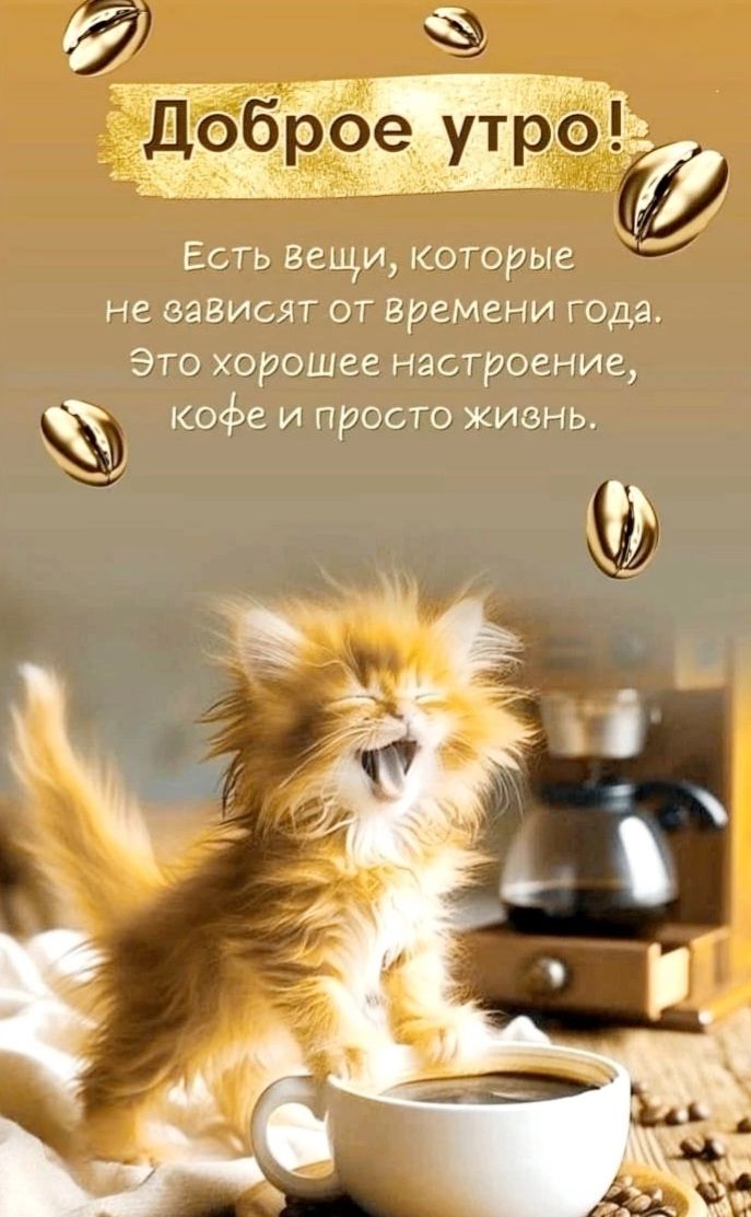 Доброе утро! Есть вещи, которые не зависят от времени года. Это хорошее настроение, кофе и просто жизнь.