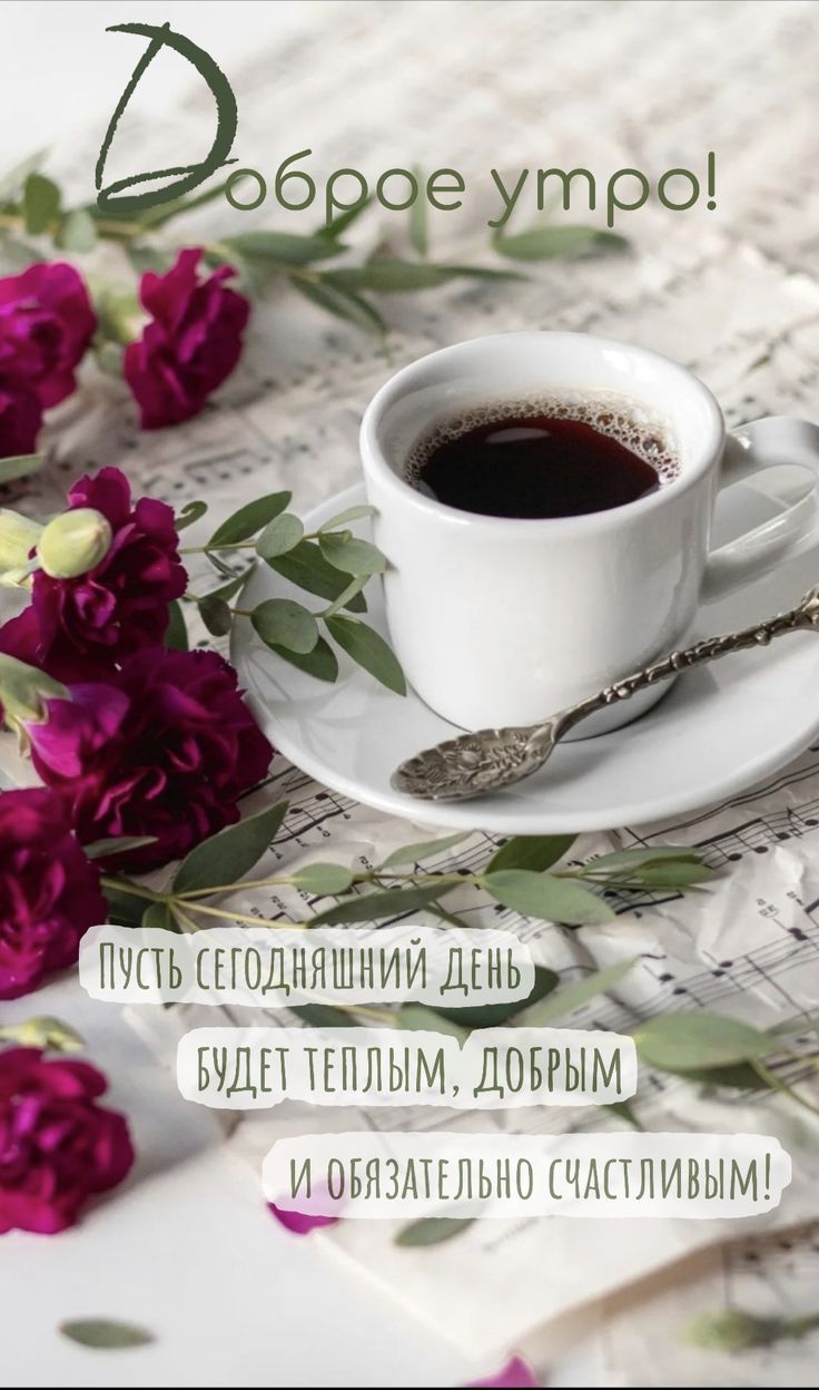 Доброе утро! Пусть сегодняшний день будет теплым, добрым и обязательно счастливым!