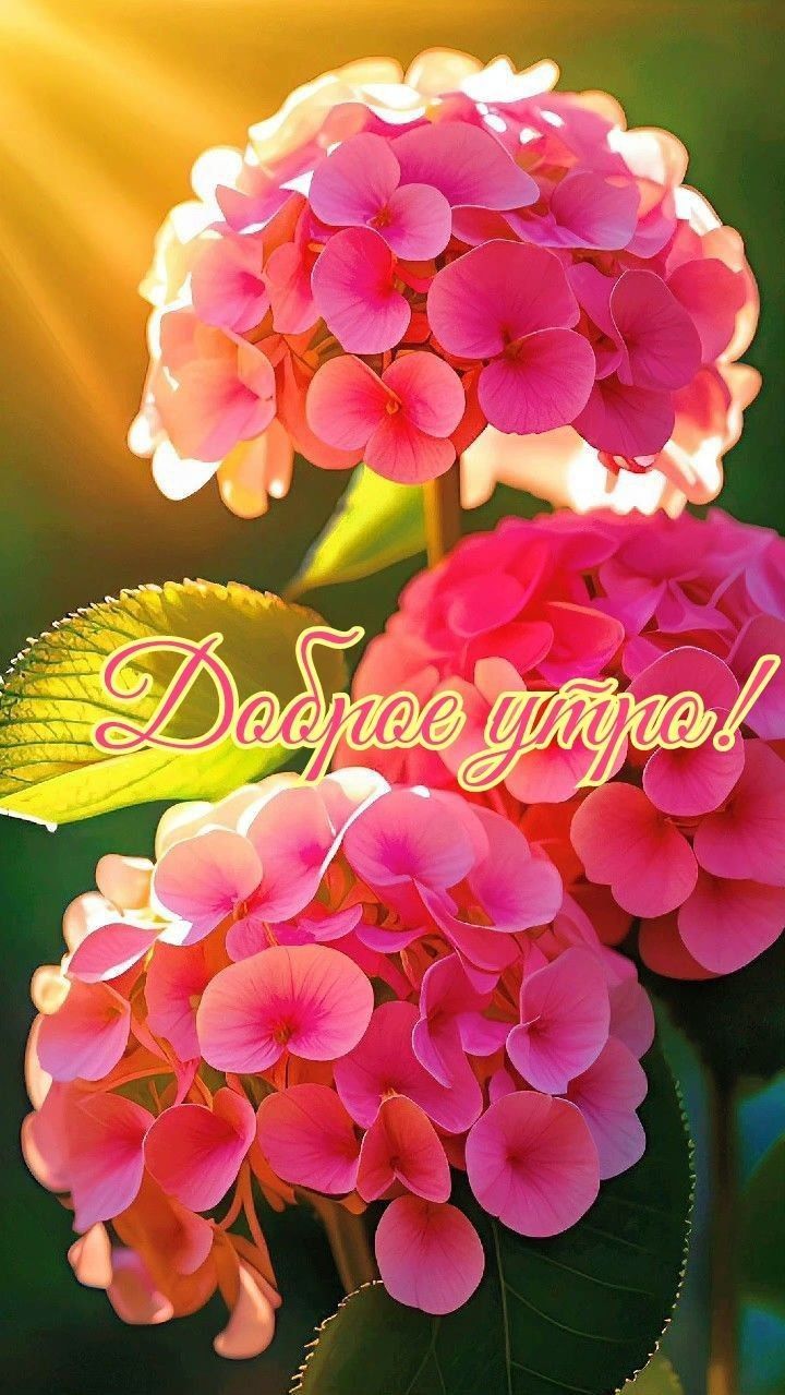Доброе утро!