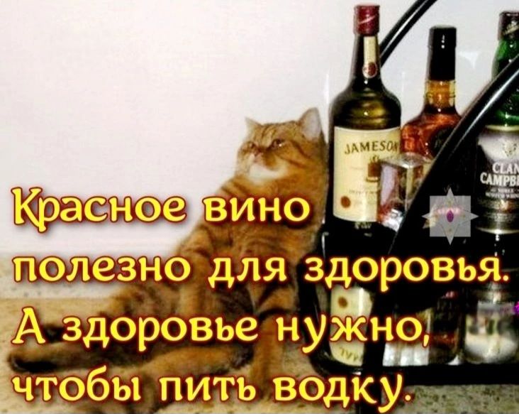 Красное вино полезно для здоровья. А здоровье нужно, чтобы пить водку.
