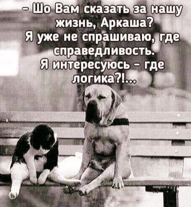 – Шо Вам сказать за нашу жизнь, Аркаша? Я уже не спрашиваю, где справедливость. Я интересуюсь - где логика?!...