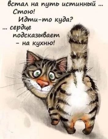 встал на путь истинный ... Стою! ... Идти-то куда? ... сердце подсказывает - на кухню!