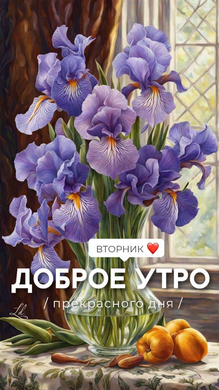 Доброе утро / прекрасного дня