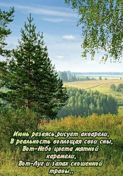 Июнь резвясь, рисует акварели,
В реальность воплощая свои сны,
Вот-Небо цвета мятной карамели,
Вот-Луг и запах скошенной травы..
