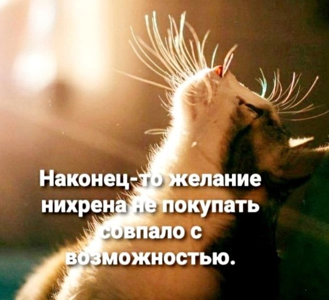 Наконец-то желание нихрена не покупать совпало с возможностью.