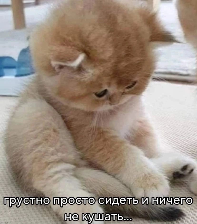 грустно просто сидеть и ничего не кушать...